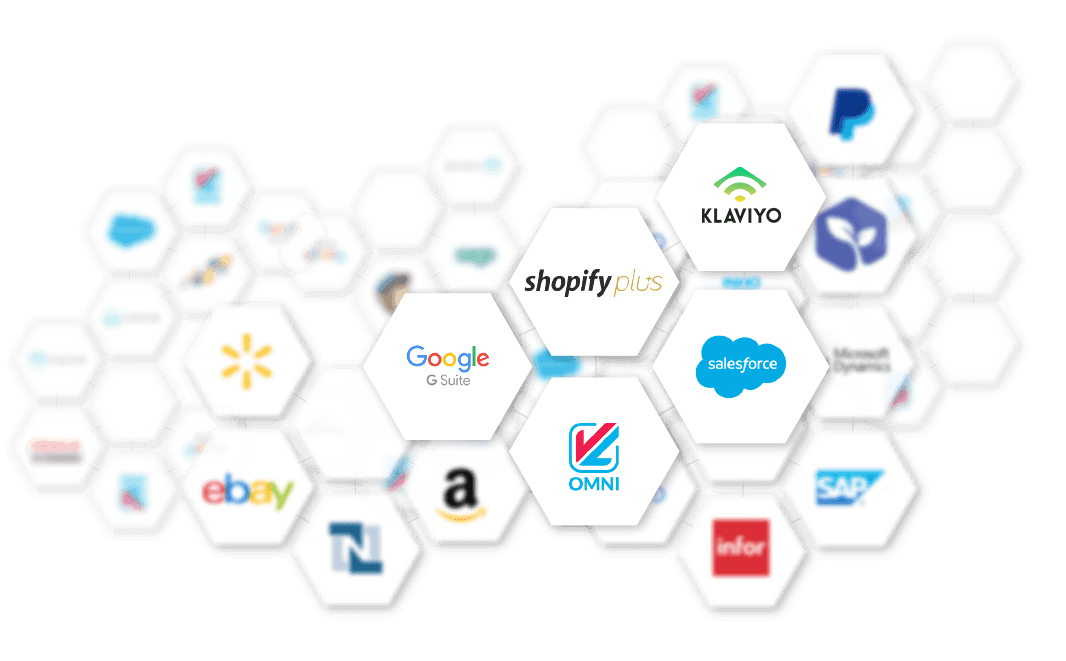 Google, Shopify Plus, Klaviyo, Salesforce, Omni