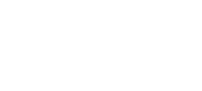 Loog logo