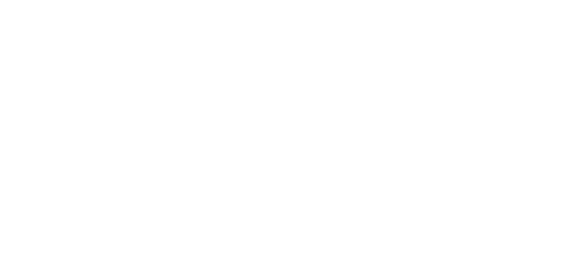 Virtual Logistics - Transforming Data, Connecting Business